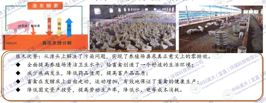&#20113;&#39030;&#38598;&#22242;&#51;&#49;&#49;&#56;